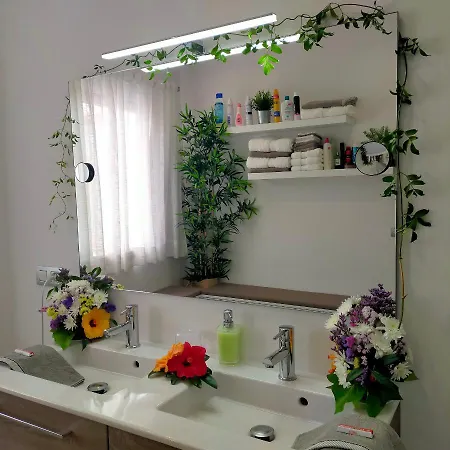 Plaza Apartment Icod De Los Vinos